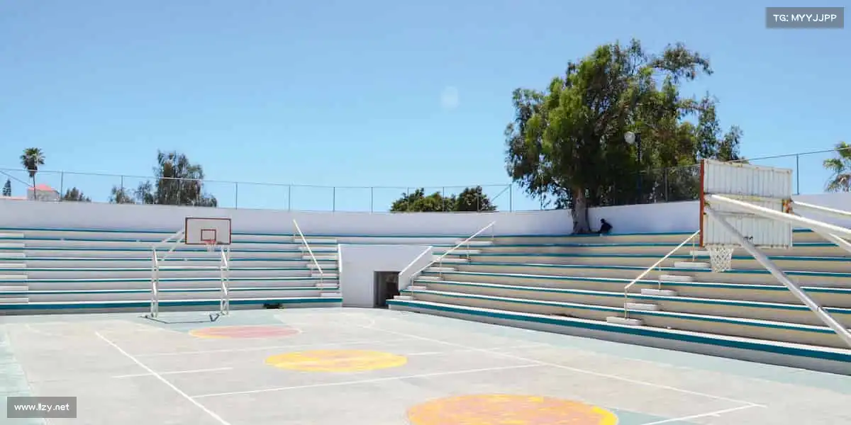 <strong>zoty中欧</strong>🏆冠军不是终点，而是新的起点 —— 和我们一起，追逐更高的荣耀！